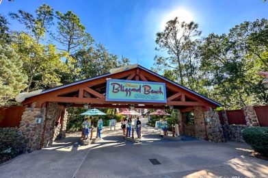 Could Blizzard Beach Close AGAIN in Disney World? Here’s What We Know.