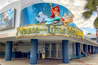 5 Changes We Hope Disney Makes to the NEW ‘Little Mermaid’ Stage Show