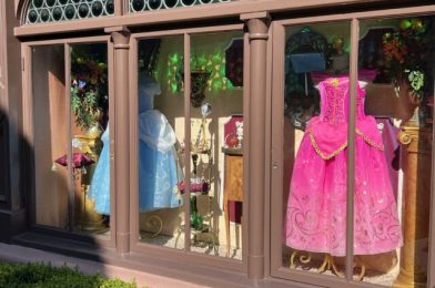 How to Save Money at the Bibbidi Bobbidi Boutique in Disneyland