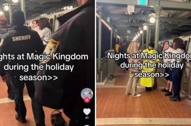 Guest Reportedly Assaults Cast Member at Magic Kingdom, Doc’s Facial Projection Technology Fails on Seven Dwarfs Mine Train, & More: Daily Recap (12/30/23)