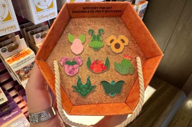 New Character-Inspired Plants  Mystery Pin Set With Unique Flowerpot Box at Walt Disney World