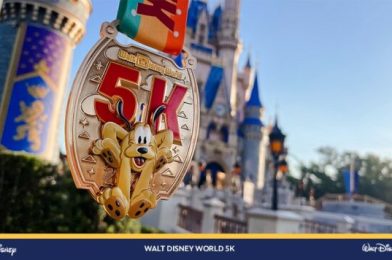 A Look at the Magical 2024 runDisney Medals for Disney World Marathon Weekend