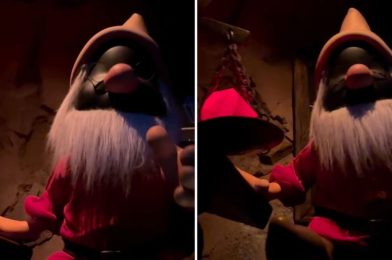 VIDEO: Doc Loses His Face as Projections Fail on Seven Dwarfs Mine Train in Magic Kingdom