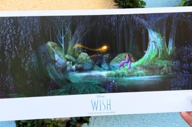 New Complimentary, Exclusive ‘Wish’ Poster Coming to EPCOT for Walt Disney World Annual Passholders