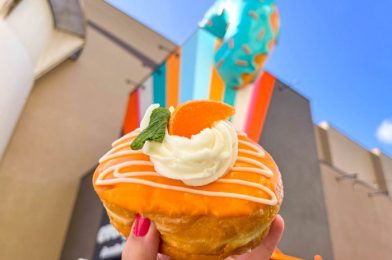 If Enjoying These 4 Disney World Snacks Is Wrong, We Don’t Want to Be Right.