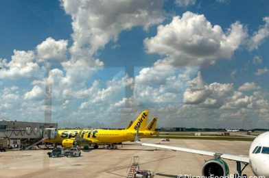 NEWS: Spirit Airlines and JetBlue Airways Respond to Federal Judge Ruling to BLOCK Proposed Merger