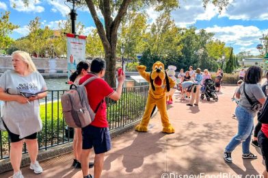 The One NEW App You HAVE To Use on Your Next Disney World Vacation