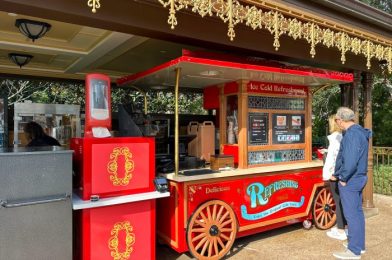 ALERT! There’s a NEW Popcorn Bucket in Disney World!