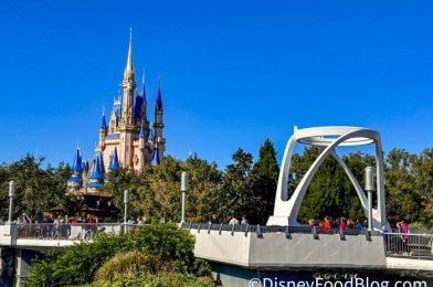 Why 12 Random Dates Could be Critical for the Future of Disney World