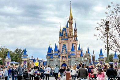 Big Disney Park CHANGES Are Coming – But Will It Be Enough?