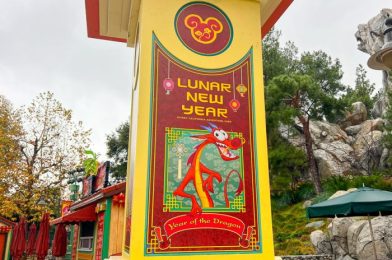 ALL the 2024 Lunar New Year Festival Merchandise at Disneyland Resort