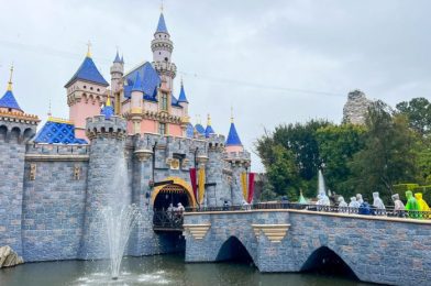 There’s a NEW Way To Get from Disney World to Disneyland!