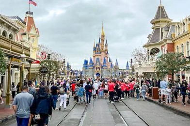 Florida Is Participating in Winter This Week — Watch Out for COLD Temps in Disney World!