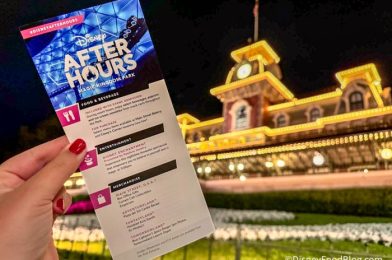 Tickets Are Now on Sale for NEW After Hours Dates in Disney World!