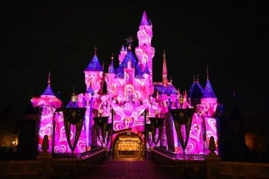 Entertainment and Characters Revealed for Disneyland After Dark: Sweethearts Nite 2024