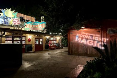 Disney’s Animal Kingdom Moonlight Magic Early Registration Opens February 1st