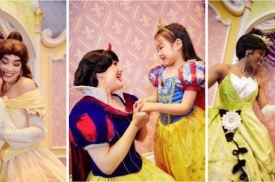 Shanghai Disney Resort to Open New Castle Encounters Meet & Greets and Gift Shop Inside Enchanted Storybook Castle