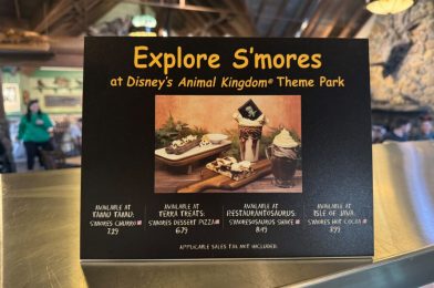 REVIEW: New S’mores Churro, Dessert Pizza, Shake, and Hot Cocoa at Disney’s Animal Kingdom