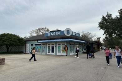 PHOTOS: Basin at Disney Springs Moves to Temporary New Location