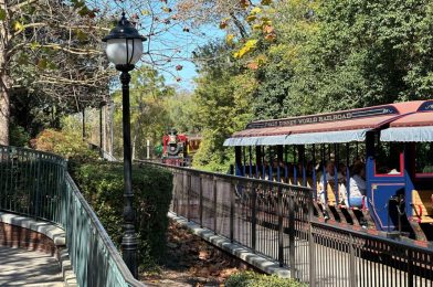 PHOTOS: Refurbished Roger E. Broggie Train Engine Now Testing at Magic Kingdom