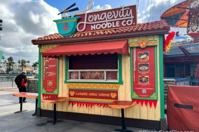 REVIEW: Longevity Noodle Co. at the 2024 Lunar New Year Festival in Disneyland