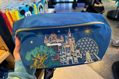 New Park Icons Belt Bag and Sensational Six Autograph Book Available at Walt Disney World