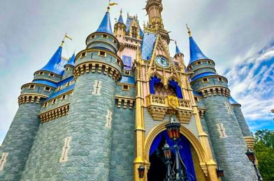 EVERYTHING in Magic Kingdom in 600 Words or LESS