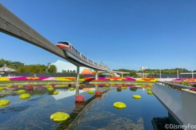 See How a Popular Ride Has CHANGED for the EPCOT Flower & Garden Festival