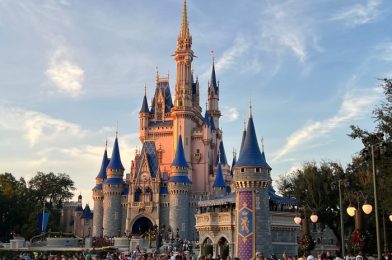 DFB Video: Is Disney World STALLING Out?