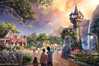 FIRST LOOK at the SOUVENIRS at Disney’s Major Theme Park Expansion — Fantasy Springs