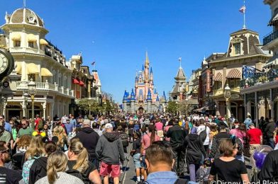 The WORST Week to Go to Disney World in February