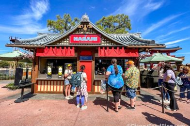 Unpopular Opinion: Frushi Is NOT Our Favorite Thing at the Hanami Festival Booth in EPCOT!