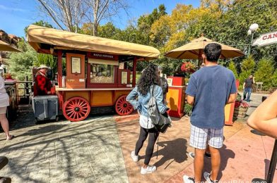 REVIEW: This NEW EPCOT Festival Item Is a SMASH Hit