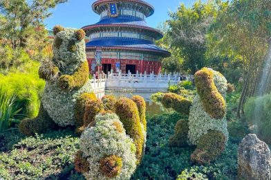 You Don’t Wanna See the LONG LINE We’ve Already Waited In at the EPCOT Flower & Garden Festival 🫣