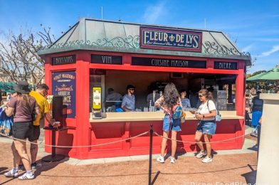 REVIEW: The WORST-Looking Snack in EPCOT Actually Tastes INCREDIBLE