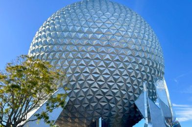 Have You Heard About the Hidden CHAMPAGNE BAR (!!) in EPCOT?