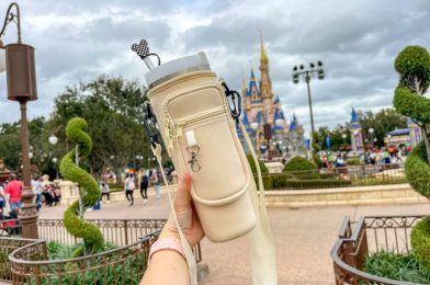 How We Bring Our Stanley Cup to Disney World