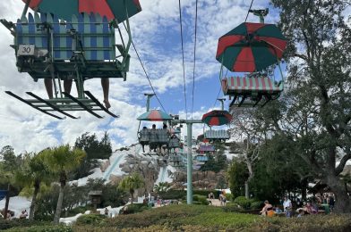 Free Waterpark Access Reportedly Included with DVC Stays in 2025