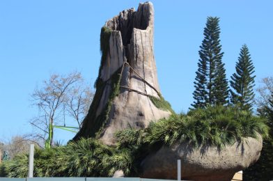 Shrek’s Swamp and Play Area Take Shape and More DreamWorks Land Updates at Universal Studios Florida