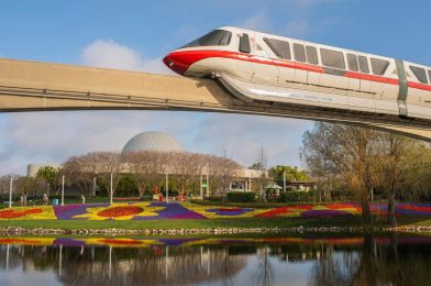 Early Entry & Extended Evening Hours for Walt Disney World Hotel Guests Continuing in 2025