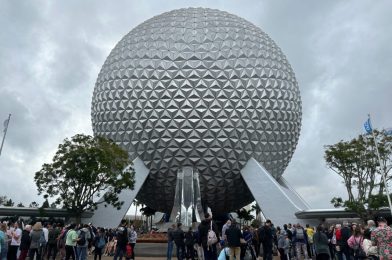 TikTok User Laments ‘Window Girl’ During Spaceship Earth Evacuation