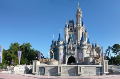 Man Accused of Sexual Battery on Child for 2001-2002 Walt Disney World Incidents