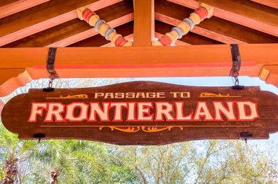 WARNING: Frontierland Is a Hot Mess in Disney World Right Now