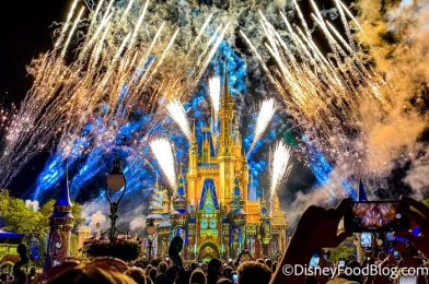 Disney Just Quietly CHANGED the Happily Ever After Fireworks in Magic Kingdom!