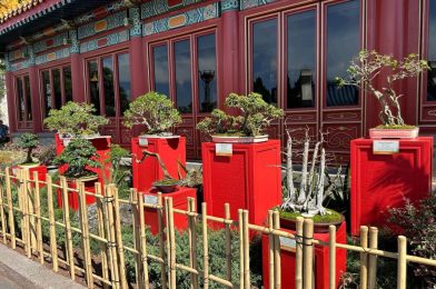 PHOTOS: New China Penjing Garden Debuts at 2024 EPCOT International Flower & Garden Festival