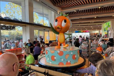 Full List (With Prices) of Orange Bird, ‘Coco,’ and Minnie Merchandise at 2024 EPCOT International Flower & Garden Festival