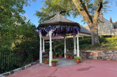 Mr. & Mrs. Easter Bunny Have Arrived at Magic Kingdom for 2024 Season