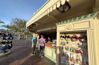 Zazu Shoulder Plush Celebrates ‘The Lion King’ 30th Anniversary at Disneyland