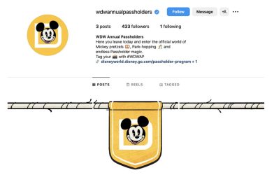 Disney Debuts New Official Walt Disney World Annual Passholder Instagram Account