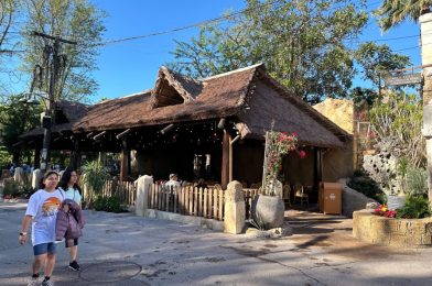 Themed Signage Added to New Harambe Market Seating Area in Disney’s Animal Kingdom